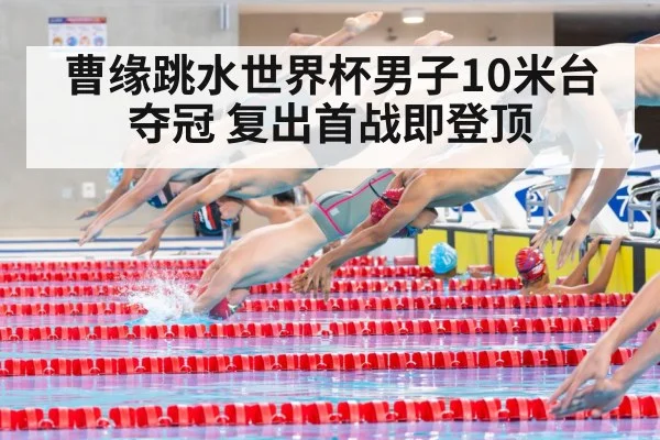 men's 10m platform diving competition