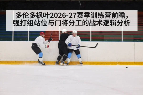 多伦多枫叶2026-27赛季训练营前瞻,强打组站位与门将分工的战术逻辑分析
