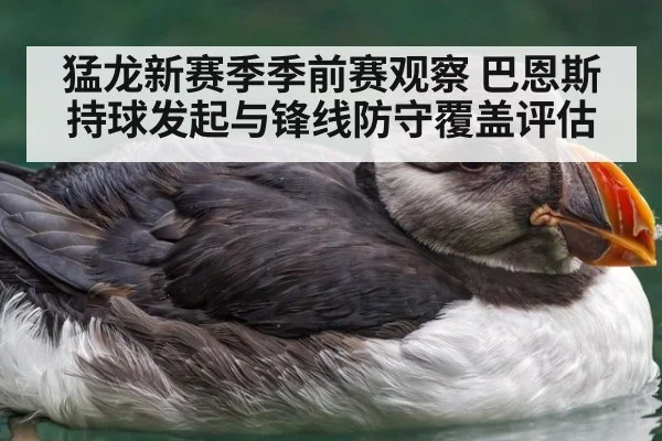 猛龙新赛季季前赛观察 巴恩斯持球发起与锋线防守覆盖评估